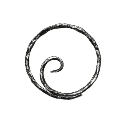 Ring d.100mm